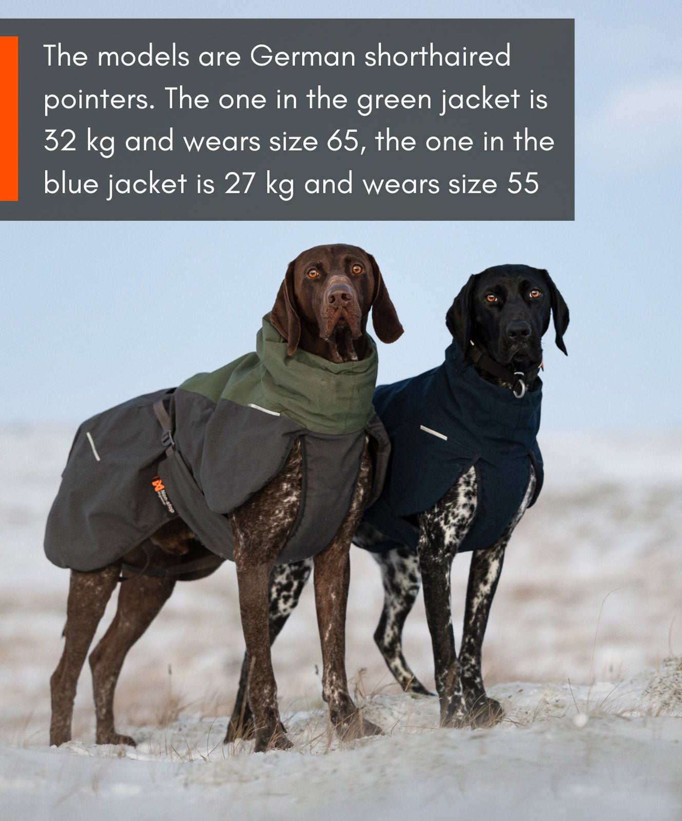 non-stop-dogwear-glacier-wool-jacket-2-0-isolierte-woll-hundejacke image 6