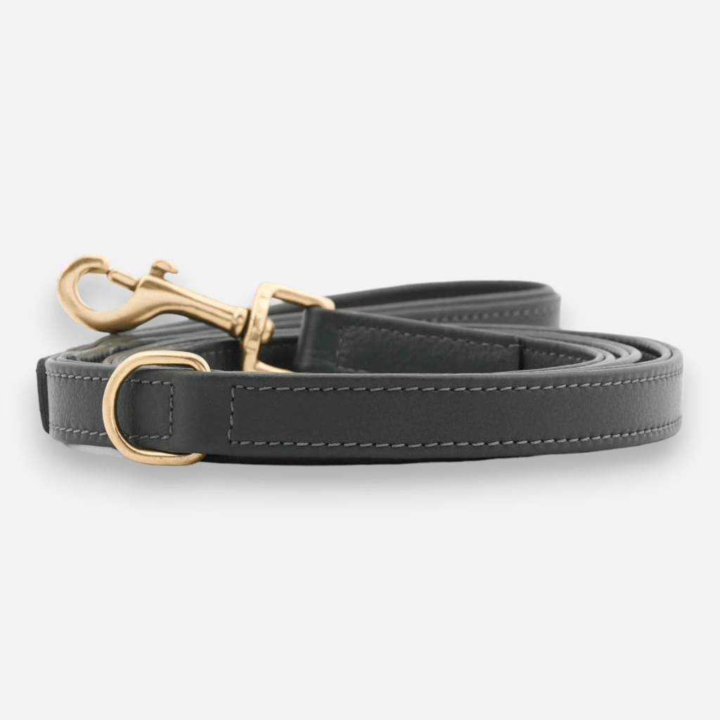william-walker-leder-hundeleine-dark-moss-dunkelgr-n image 1
