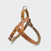cloud7-harness-central-park-camel-silver-norwegergeschirr-aus-fettleder image 2