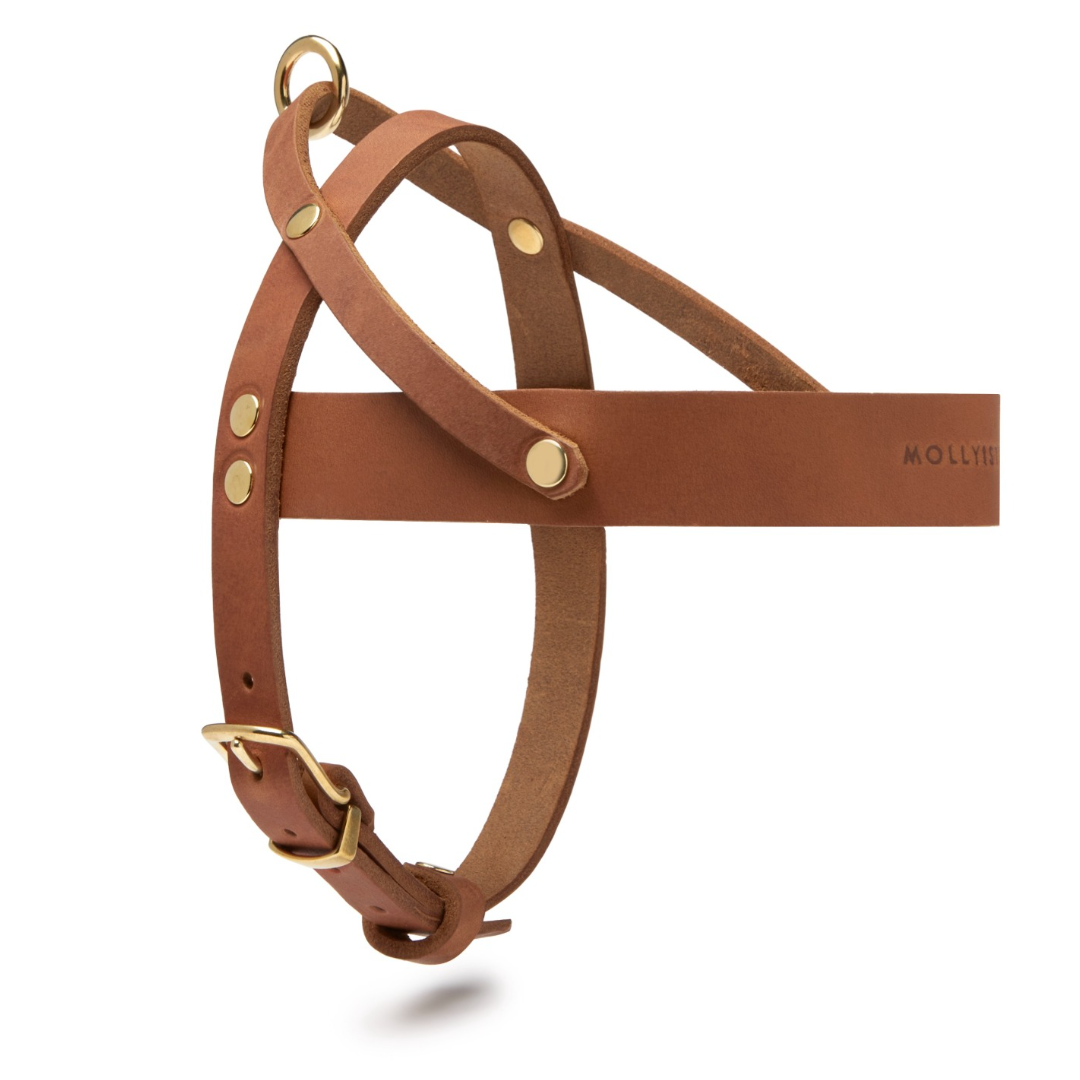 molly-and-stitch-butter-leather-hundegeschirr-sahara-cognac image 3