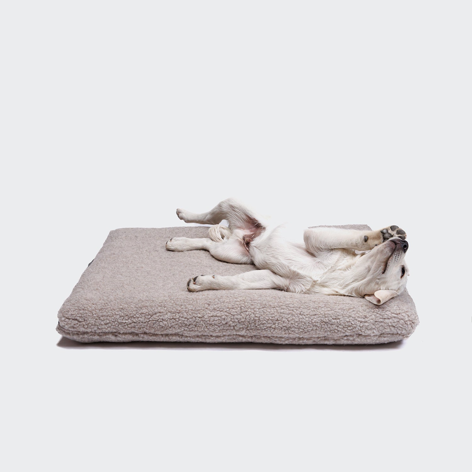 cloud7-siesta-teddy-hundebett-design-hundematratze-mit-griff image 4