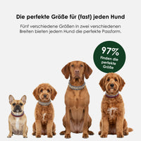 william-walker-paracord-biothane-hundehalsband-royal image 8
