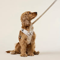william-walker-jacquard-hundehalsband-sand-beige image 2