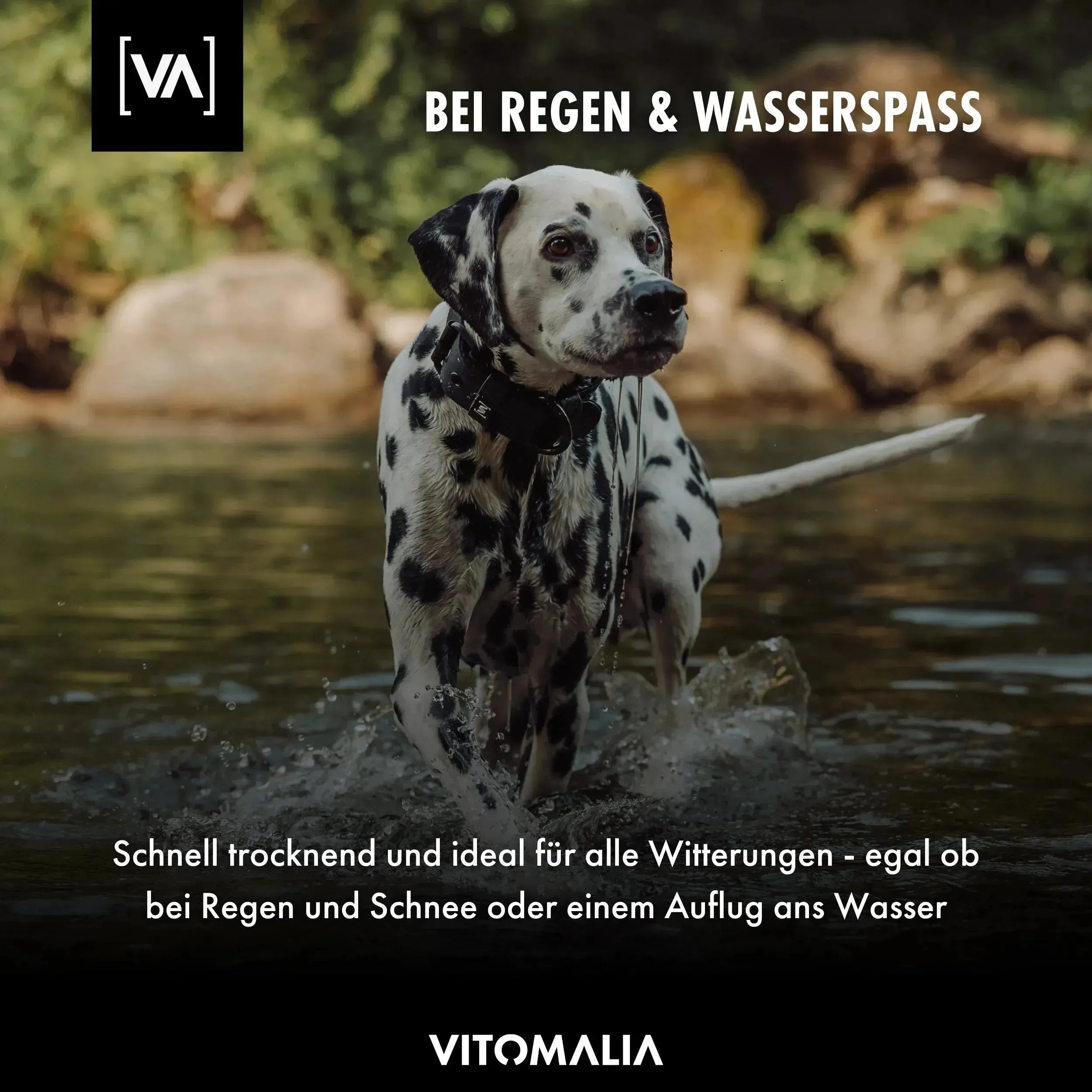 vitomalia-aqua-edition-wasserhalsband-schwarz-mit-innenf-tterung image 7