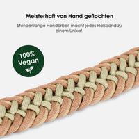 william-walker-paracord-biothane-hundehalsband-shire image 3