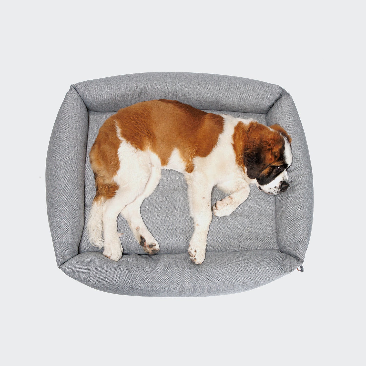 cloud7-sleepy-deluxe-hundebett-tweed-grey-2 image 4