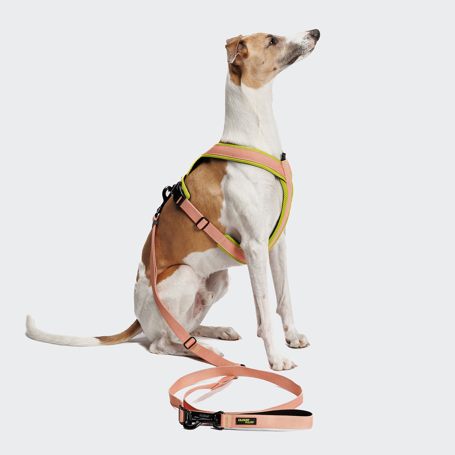 cloud7-freihandleine-l-1-aktiv-peach-hands-free-hundeleine image 2