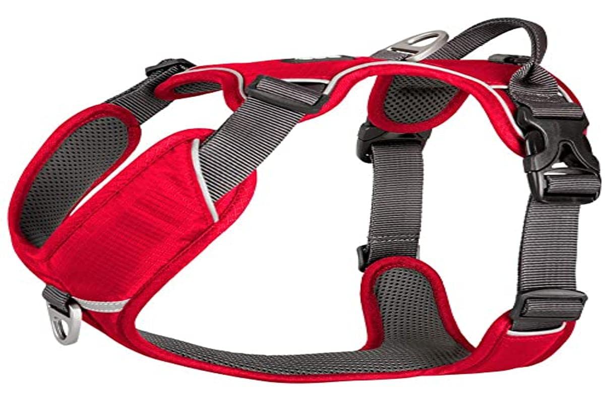 dog-copenhagen-comfort-walk-pro-harness-orange-sun-xs-v1-hundegeschirr image 4