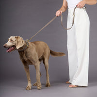 william-walker-luxe-glattleder-hundeleine-pebble-taupe image 5