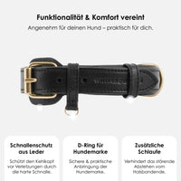 william-walker-leder-hundehalsband-noir-schwarz image 3