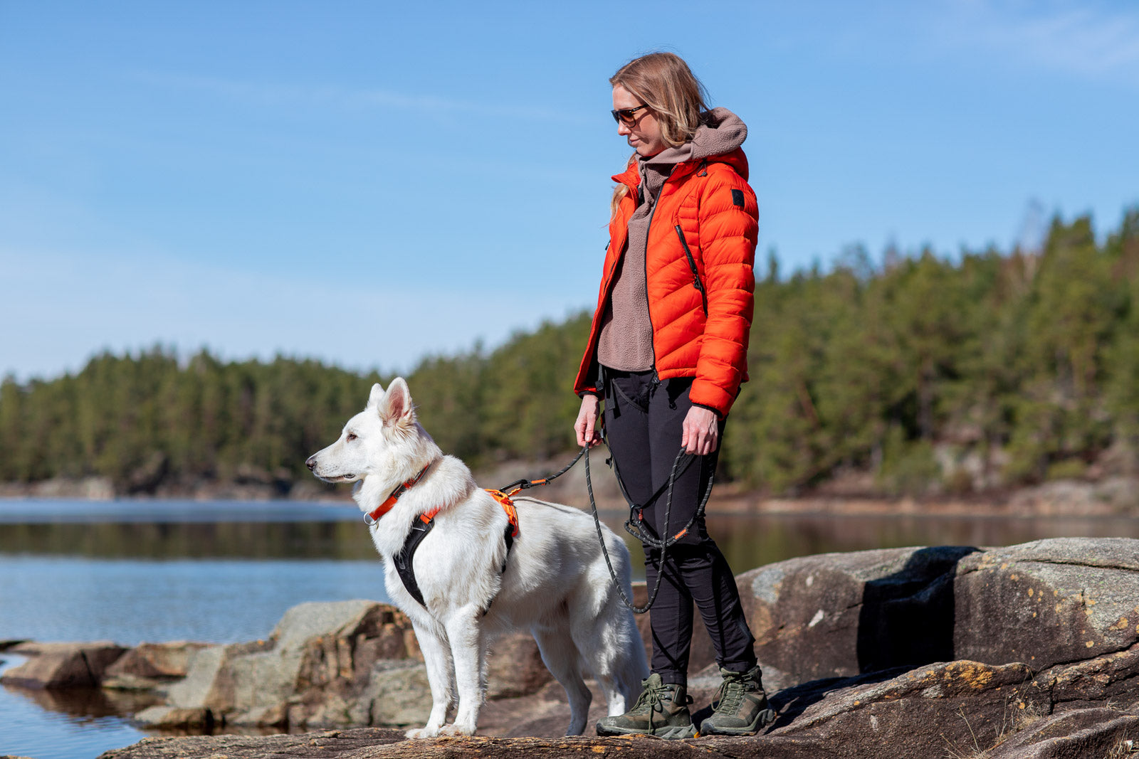 non-stop-dogwear-rock-leash-1-80-m-seil-leine-f-r-wandern-alltag image 2