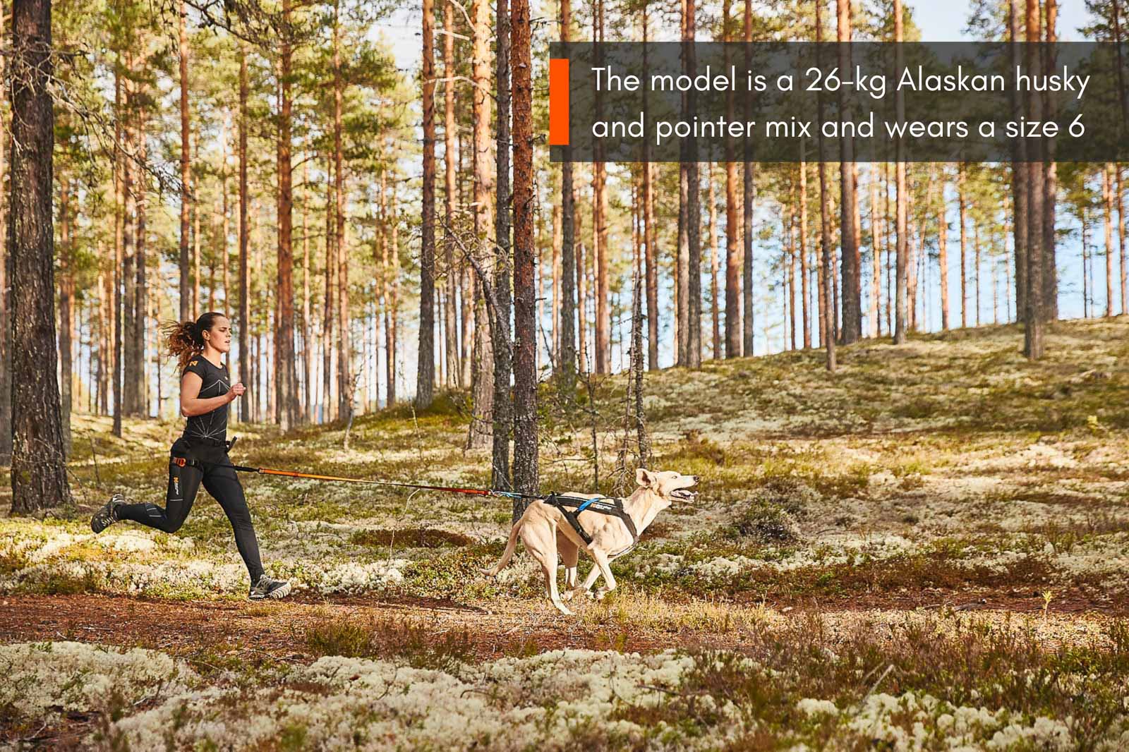 non-stop-dogwear-freemotion-harness-zuggeschirr image 3