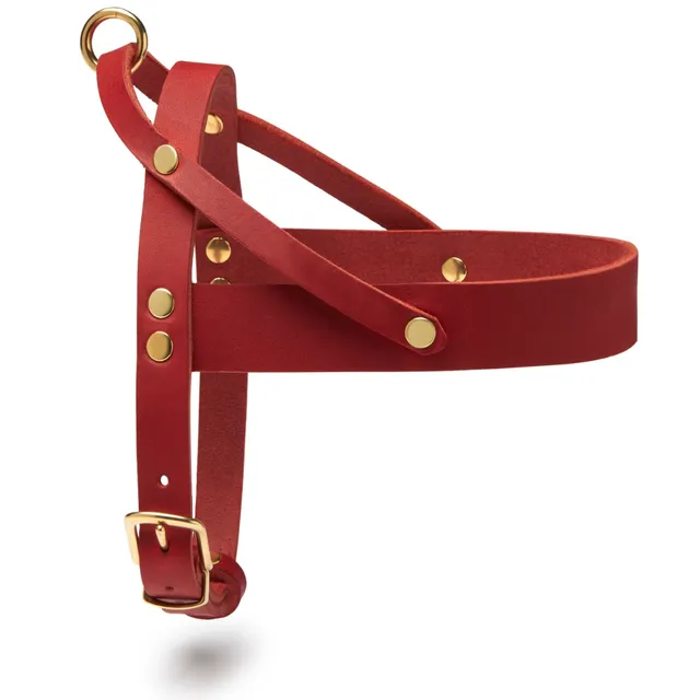 molly-and-stitch-butter-leather-hundegeschirr-chili-red image 1