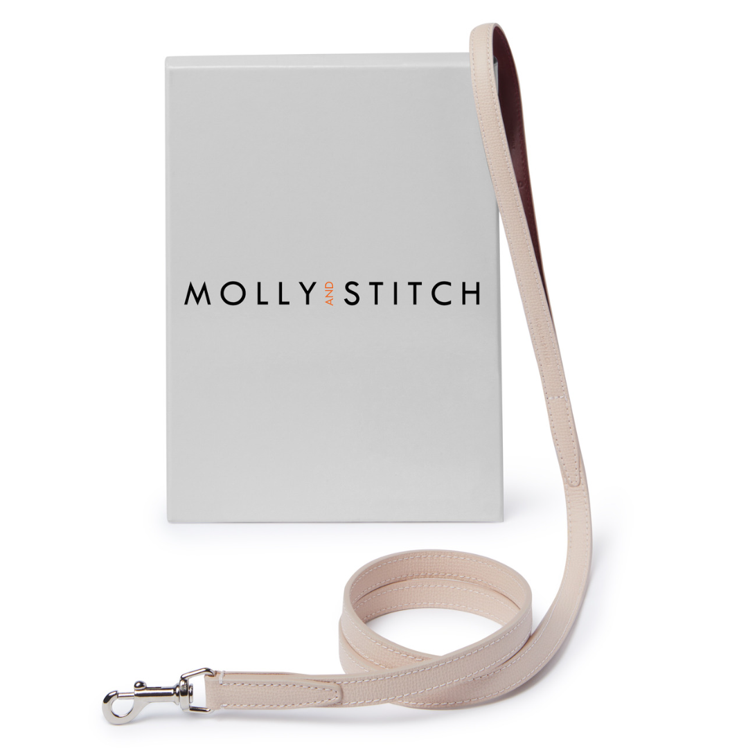 molly-and-stitch-tuscan-city-hundeleine-1-4-m-rose image 1