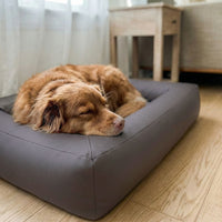 william-walker-hundebett-comfy-cove-stone-orthop-disches-boxbett-warmgrau image 5