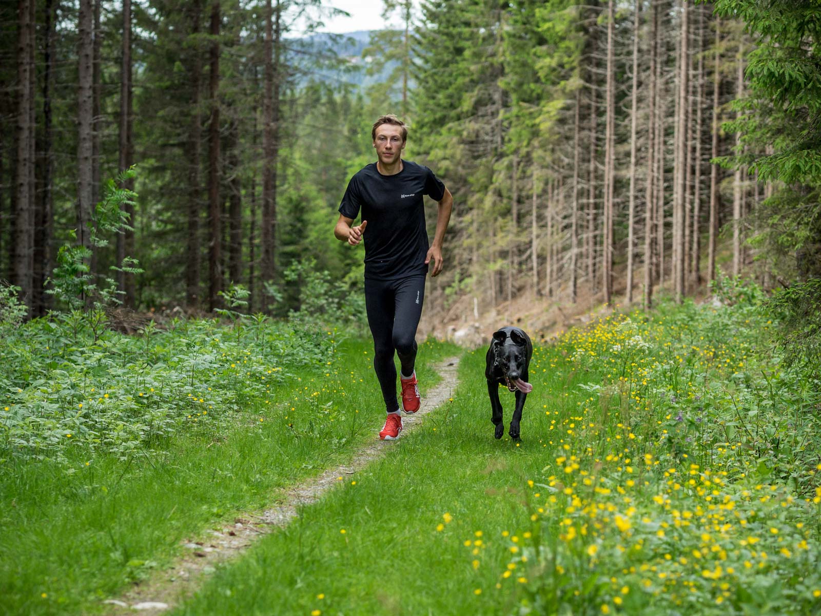 non-stop-dogwear-canix-long-tights-herren-laufhose-lang image 5