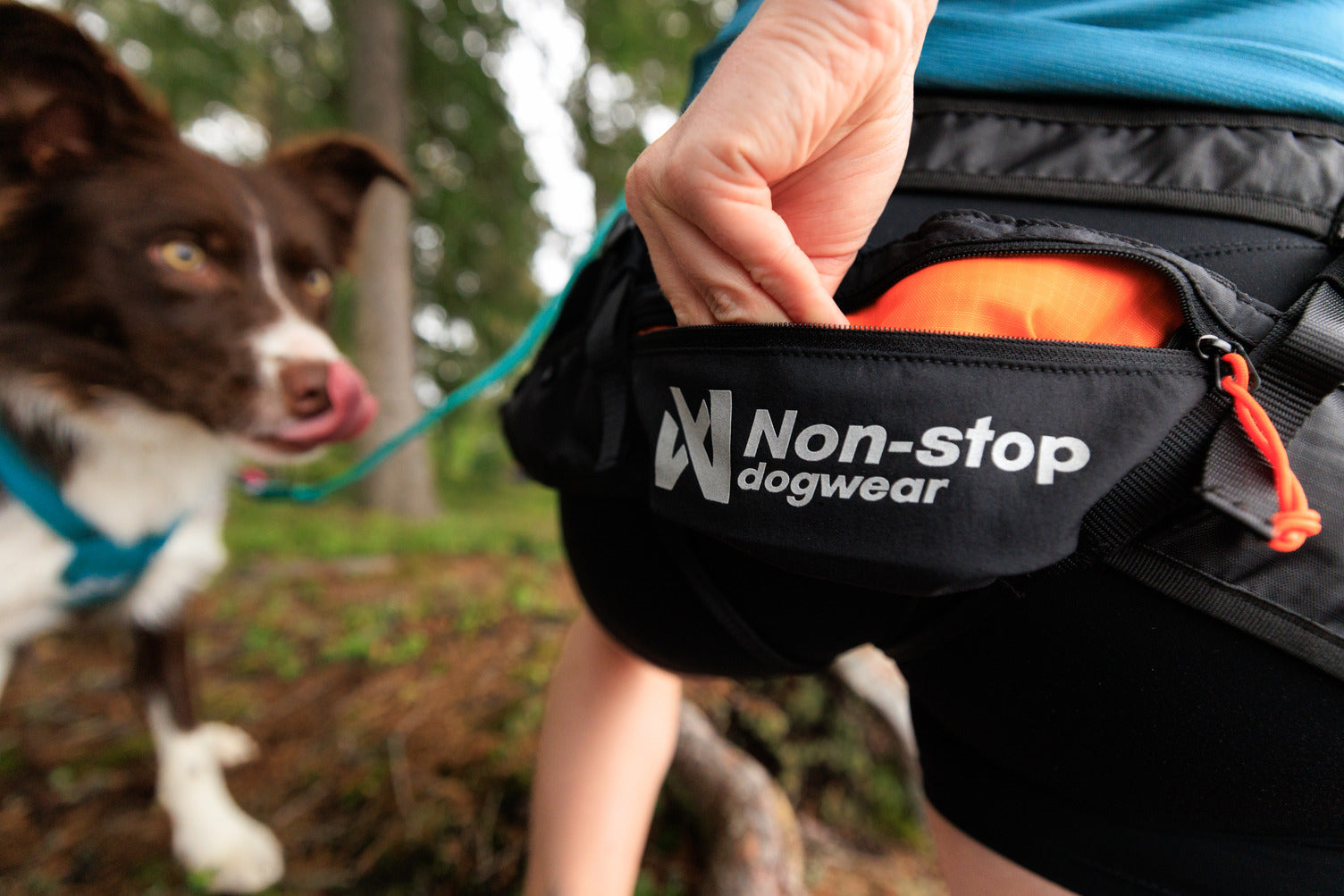 non-stop-dogwear-canix-belt-3-0-laufg-rtel-f-r-canicross image 4