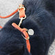 cloud7-ravello-rust-hundehalsband-handgeflochtenes-nubukleder-mit-messingschnall image 7