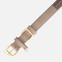 william-walker-luxe-wildleder-hundehalsband-pebble-taupe image 3