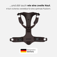 william-walker-y-hundegeschirr-earth-braun image 4