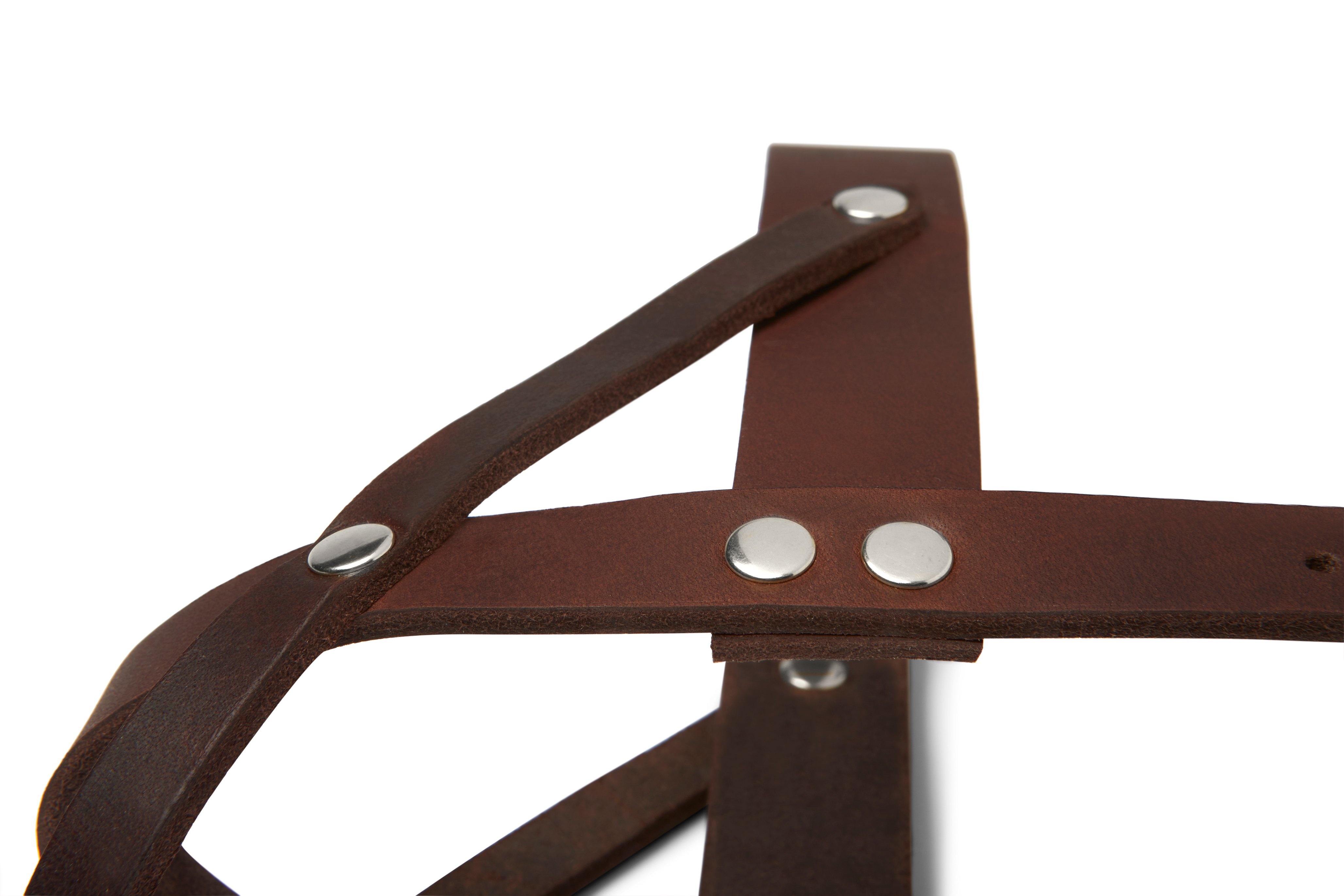 molly-and-stitch-butter-leather-hundegeschirr-classic-brown image 6