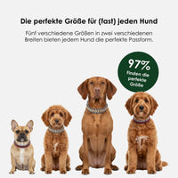 william-walker-paracord-biothane-hundehalsband-hanseatic image 8