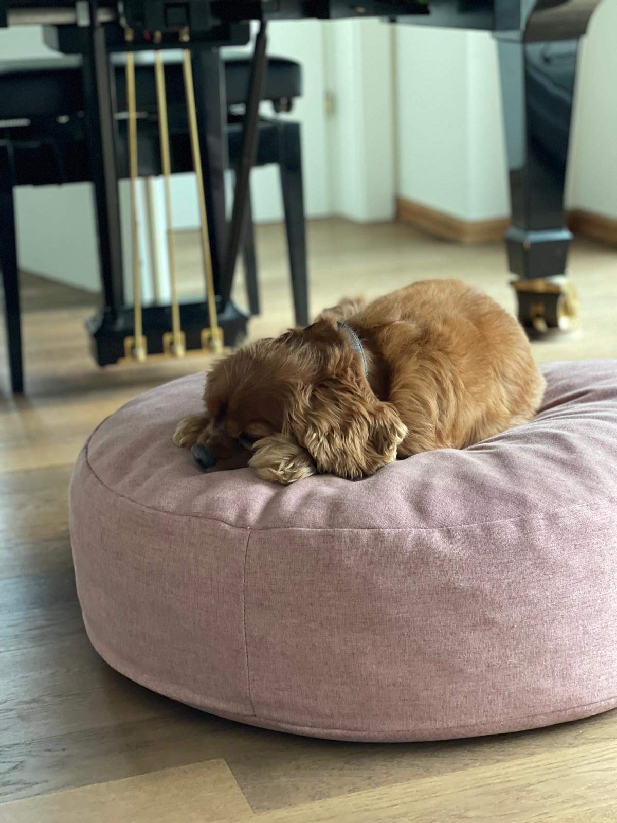 molly-and-stitch-the-cloud-hundebett-pouf-shadow-grey image 2