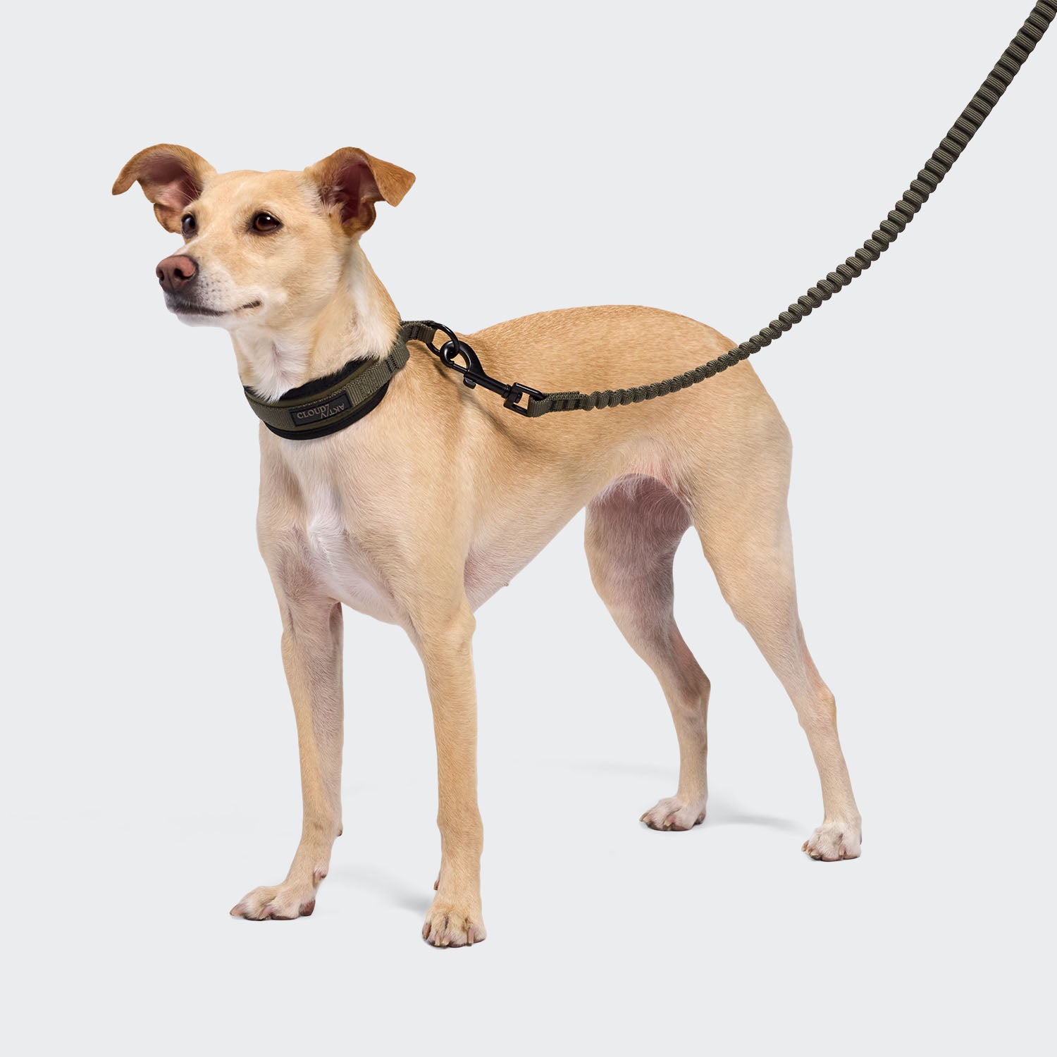 cloud7-c-1-zugstopp-halsband-aktiv-softshell-olive image 4