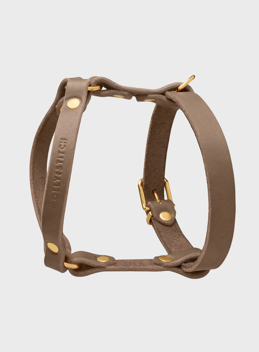 molly-and-stitch-butter-leather-y-hundegeschirr-taupe image 2
