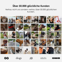 william-walker-leder-hundehalsband-dark-moss-dunkelgr-n image 7