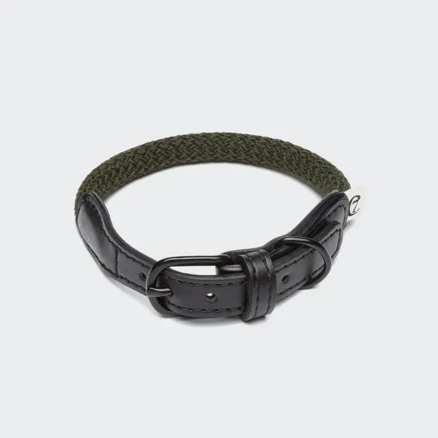 cloud7-mauerpark-olive-hundehalsband-vegan-kaktusleder image 1