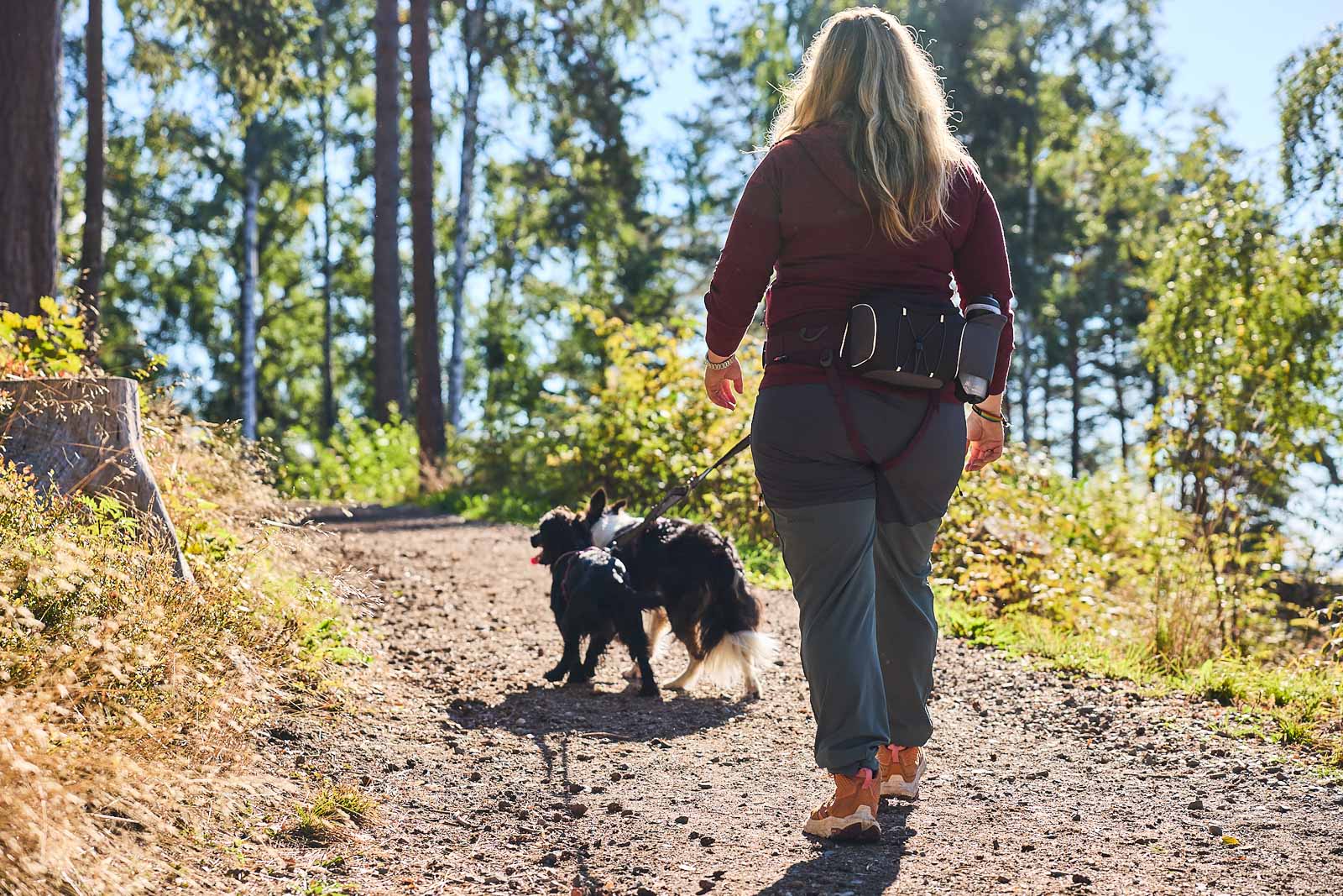 non-stop-dogwear-belt-bag-ger-umige-h-fttasche-f-r-outdoor-aktivit-ten image 6
