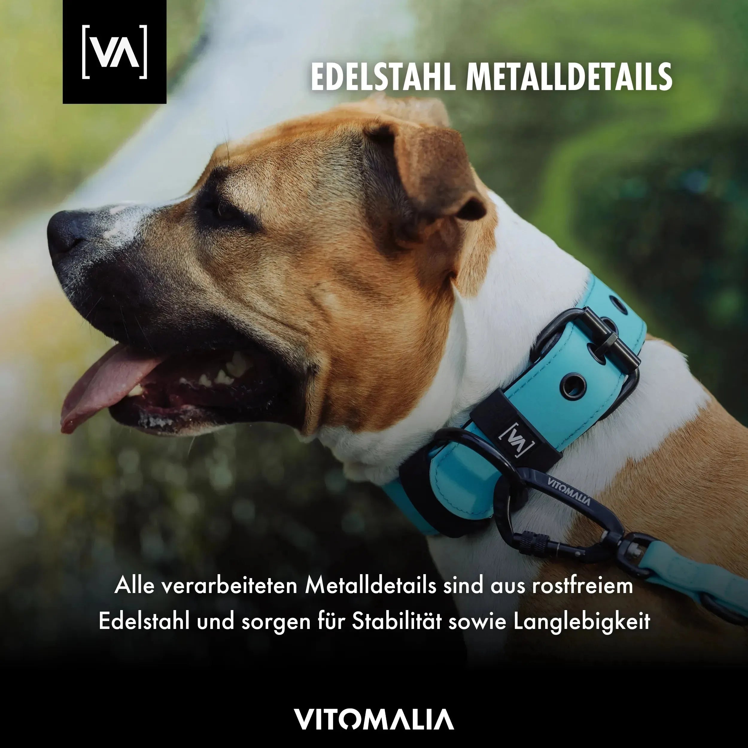 vitomalia-aqua-edition-wasserhalsband-schwarz-mit-innenf-tterung image 6