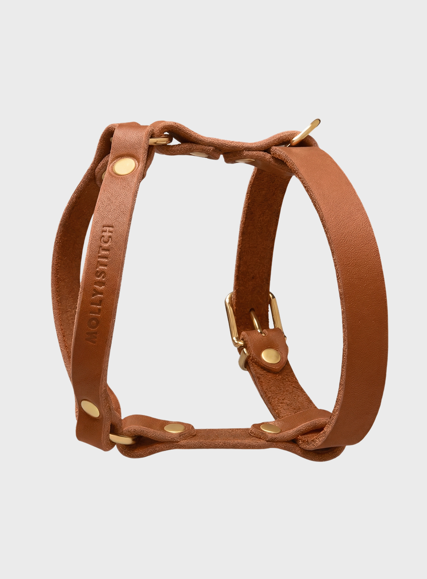 molly-and-stitch-butter-leather-y-harness-sahara-y-hundegeschirr-aus-butterleder image 2