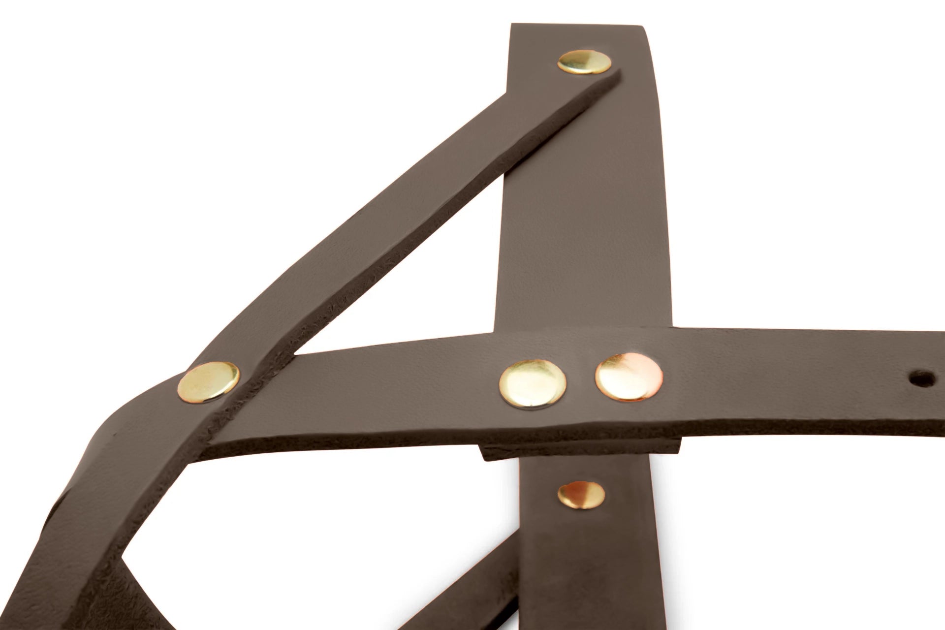 molly-and-stitch-butter-leather-hundegeschirr-taupe-mango-harness image 4