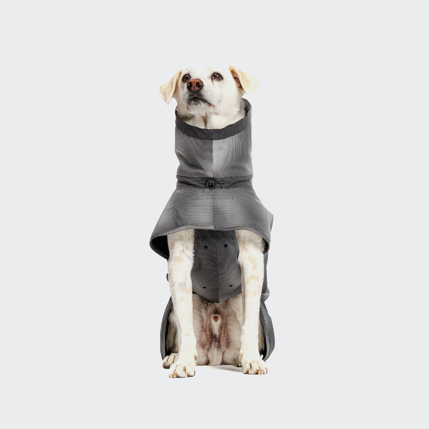 cloud7-aktiv-hunderegenmantel-black-2 image 5
