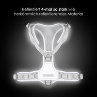 william-walker-y-hundegeschirr-lunar-reflektierend image 3