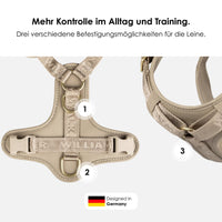 william-walker-leder-y-hundegeschirr-plain image 5