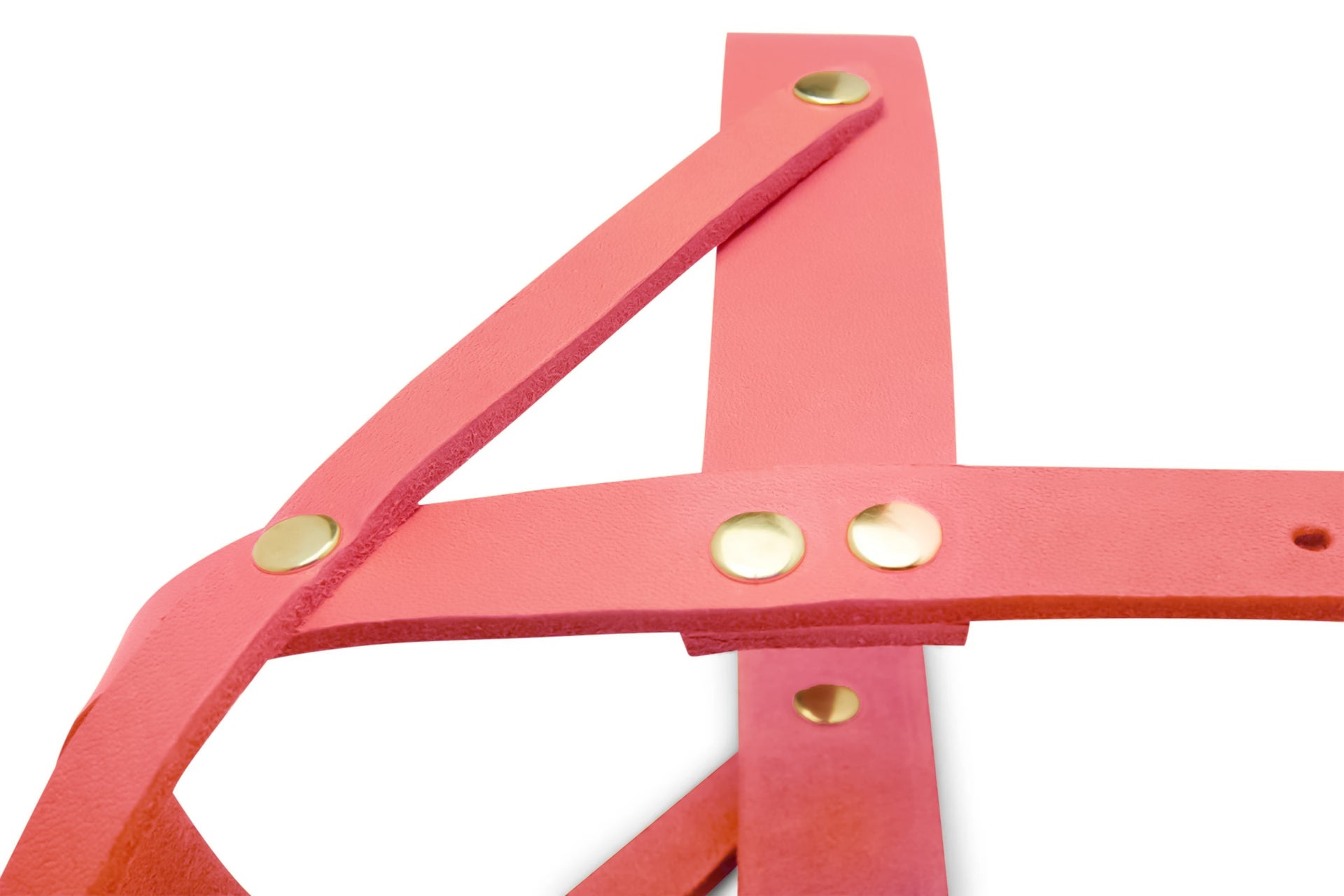 molly-and-stitch-butter-leather-hundegeschirr-coral-pink image 3