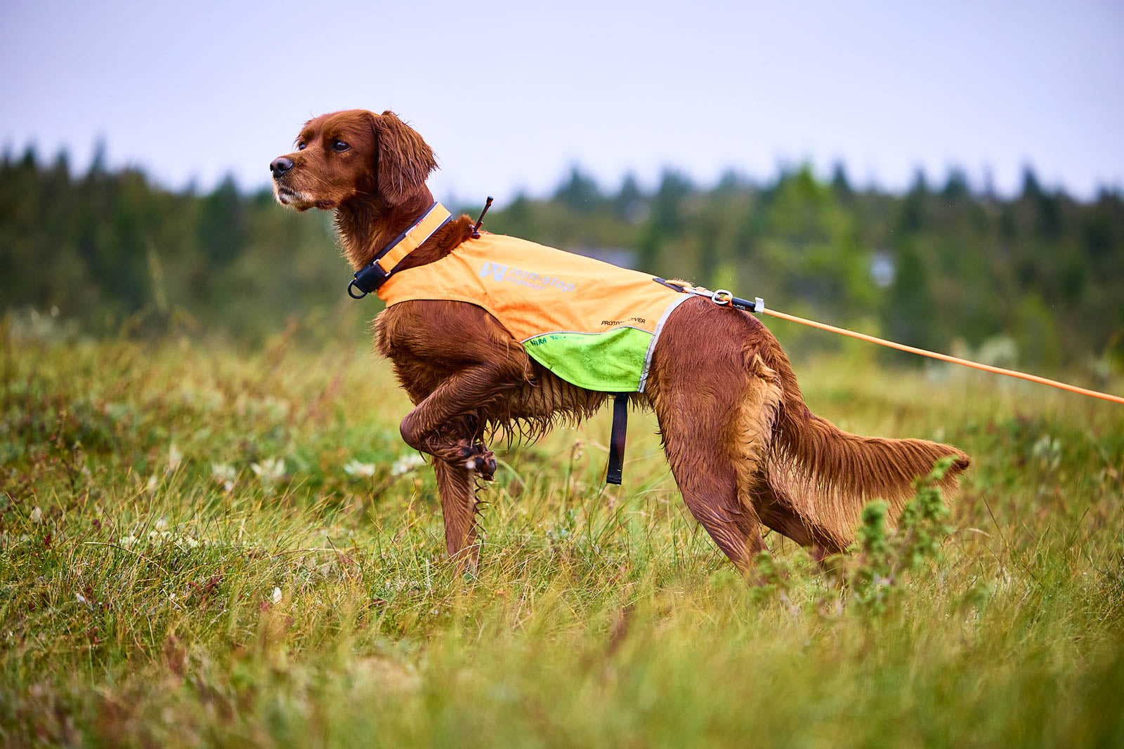 non-stop-dogwear-protector-round-long-line-runde-schleppleine image 3