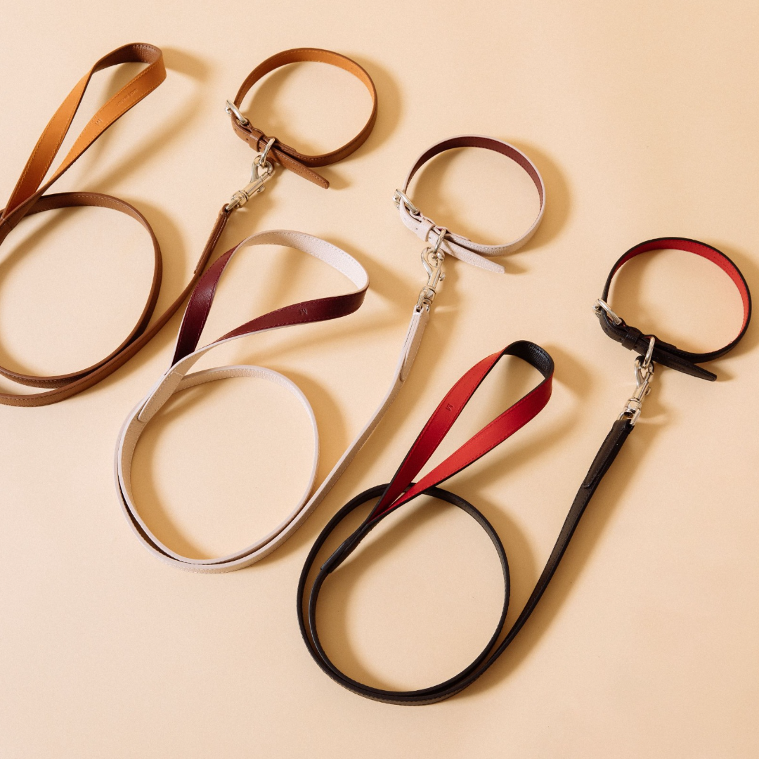 molly-and-stitch-tuscan-city-hundeleine-chestnut image 6