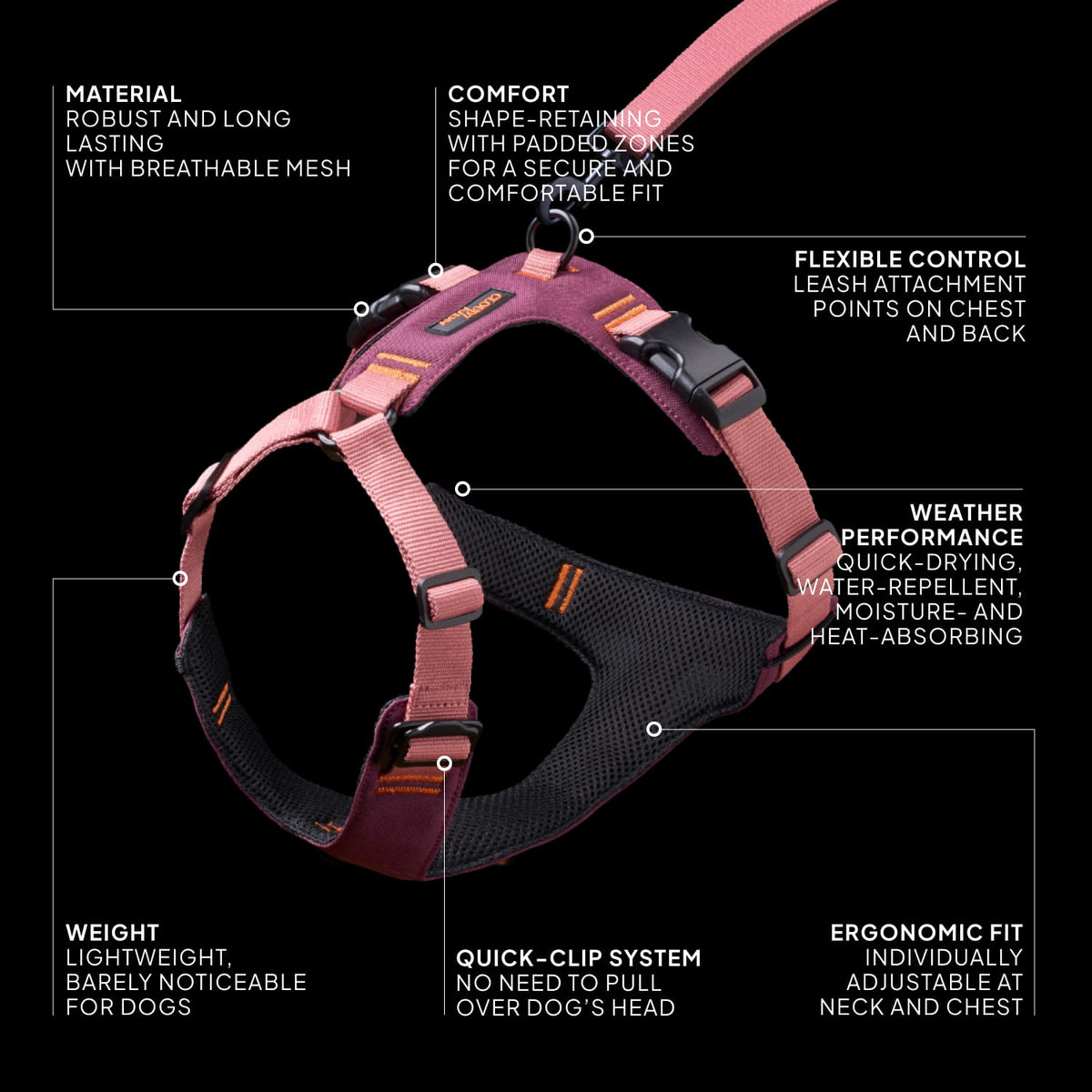 cloud7-y-2-harness-aktiv-aubergine-soft-rose-hundegeschirr image 3