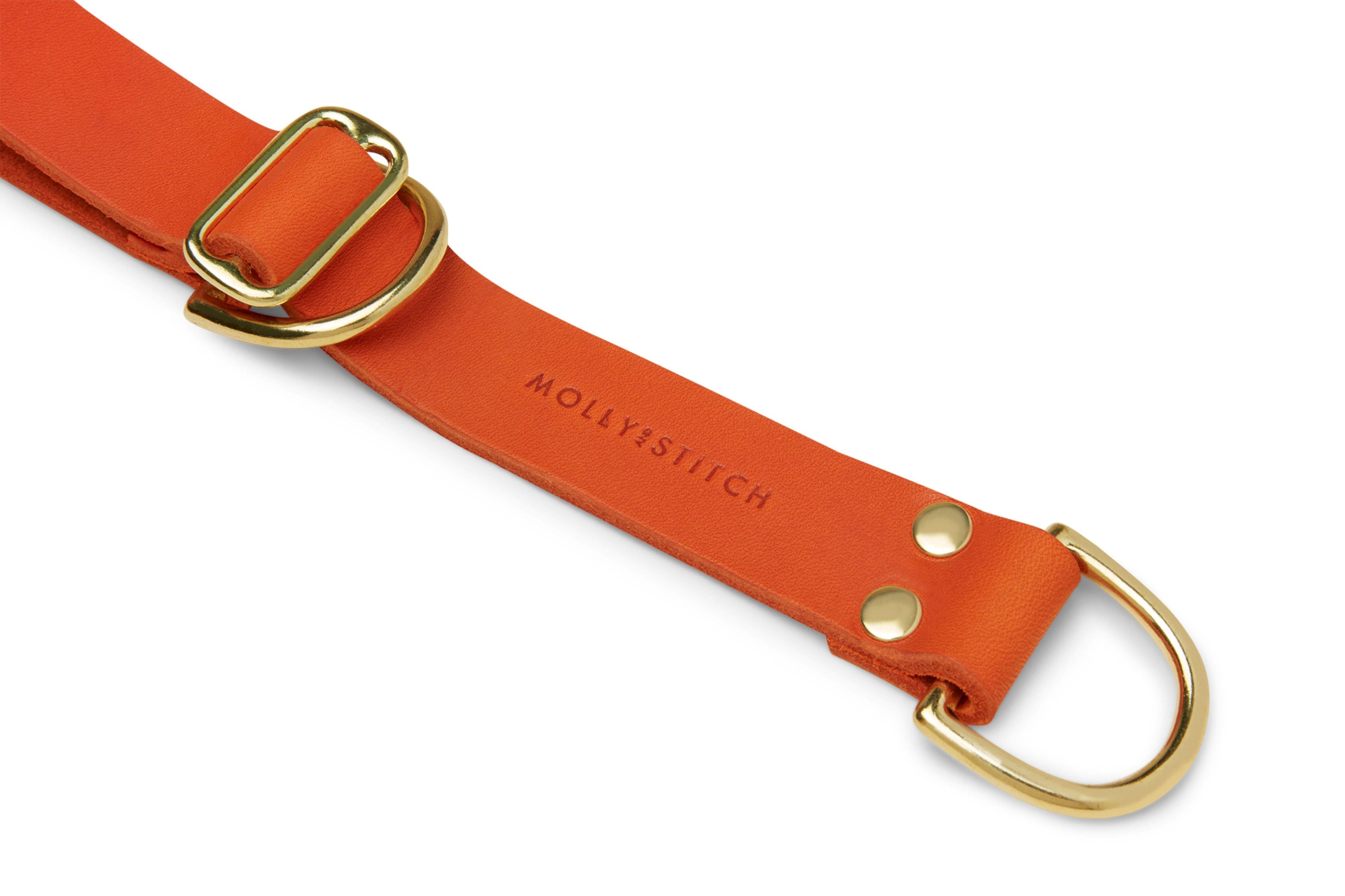 molly-and-stitch-butter-leather-retriever-halsband-mango image 2