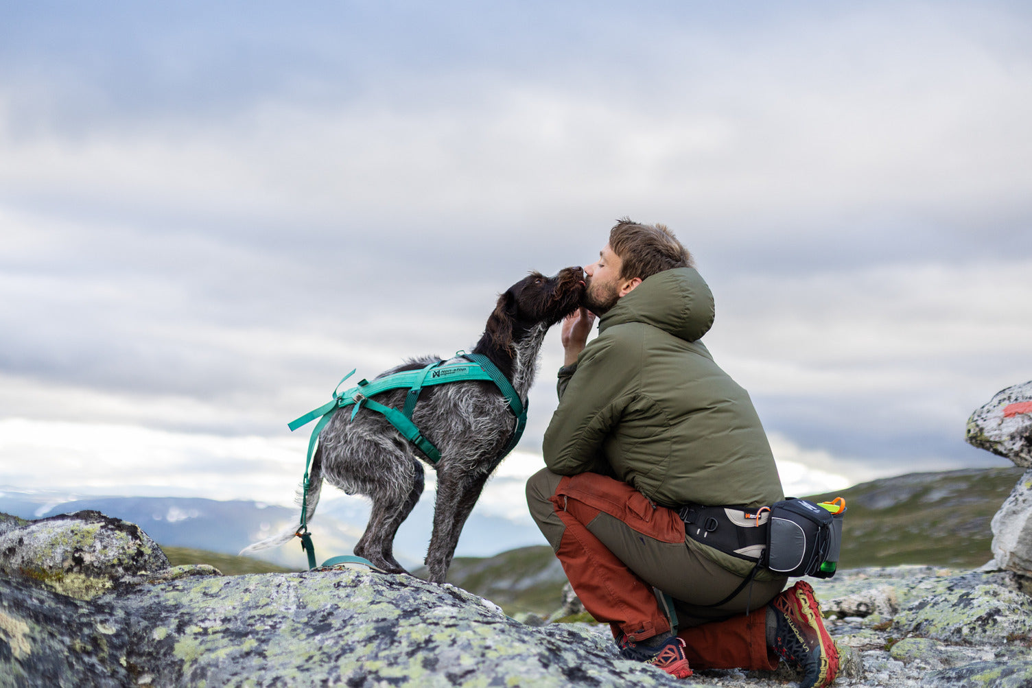 non-stop-dogwear-belt-bag-ger-umige-h-fttasche-f-r-outdoor-aktivit-ten image 5