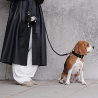 william-walker-leder-hundehalsband-noir-schwarz image 8