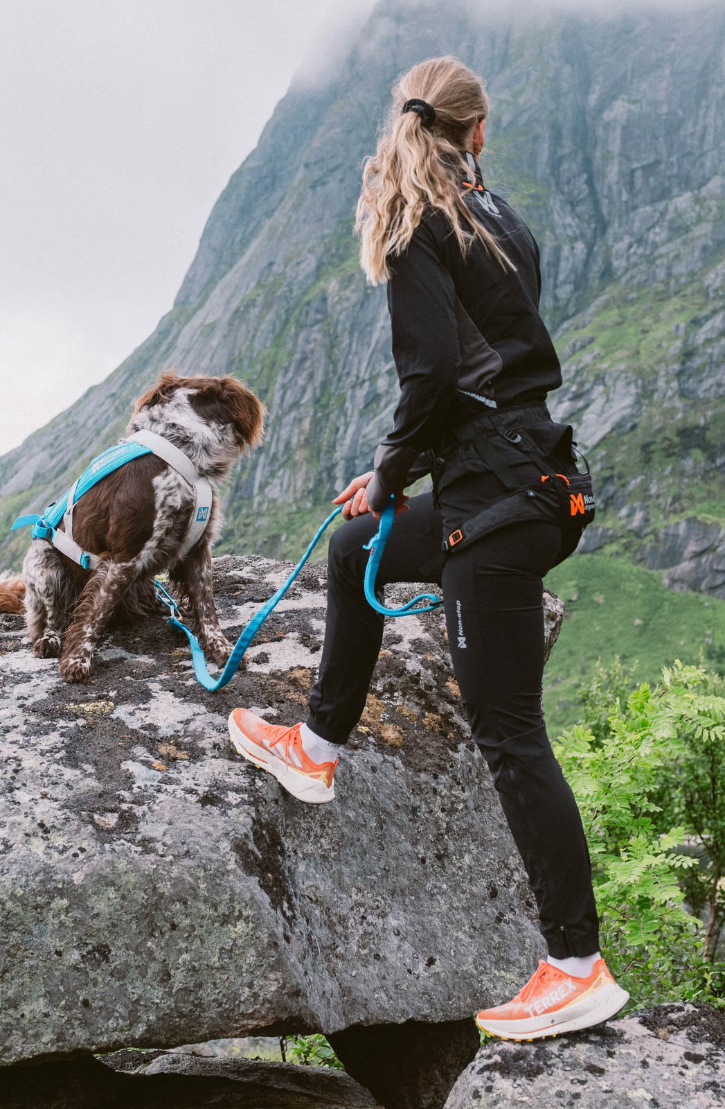 non-stop-dogwear-canix-warm-up-pants-women-s-softshellhose image 3