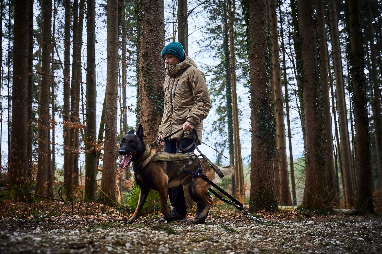non-stop-dogwear-freemotion-harness-wd-zuggeschirr image 2