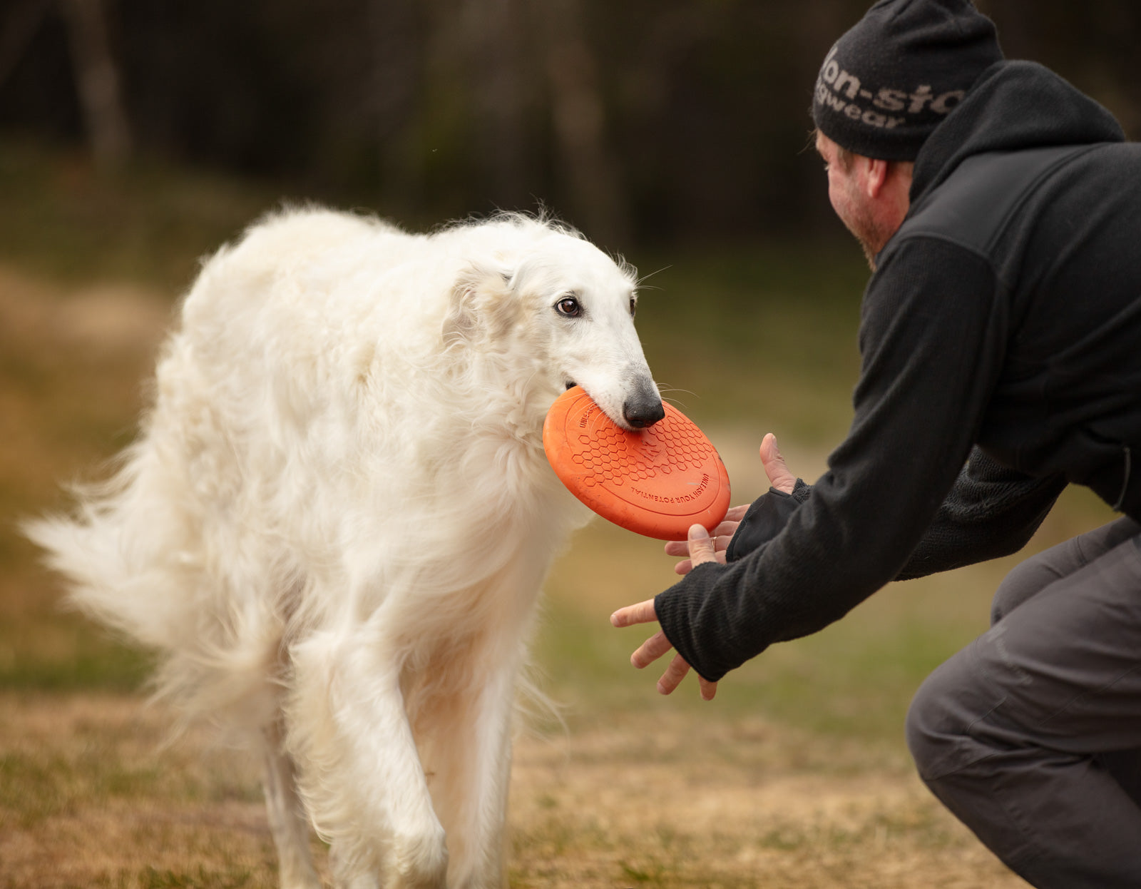 non-stop-dogwear-dog-flying-disc-hundespielzeug-gummi-bambus image 3