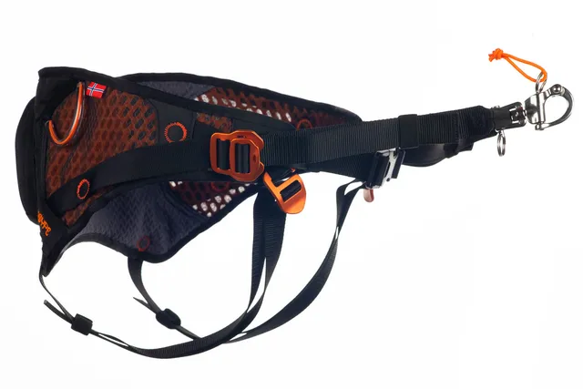 non-stop-dogwear-l-ype-belt-skij-ring-h-ftgurt image 1