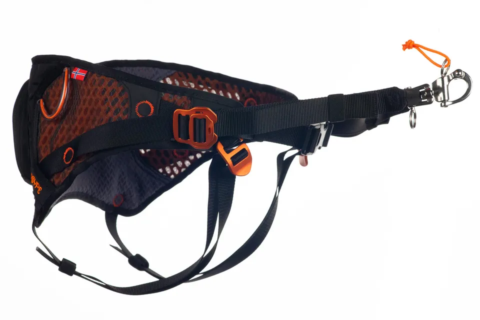 non-stop-dogwear-l-ype-belt-skij-ring-h-ftgurt image 1